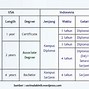 Apakah D4 Termasuk S1